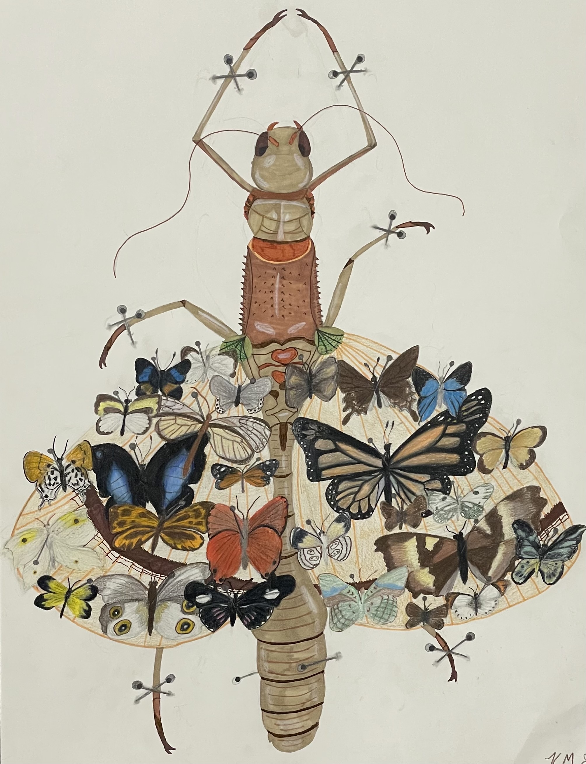 Kas3 Art